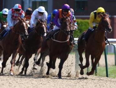 Rory's best bets come in the last 2 races at Dunstall Park